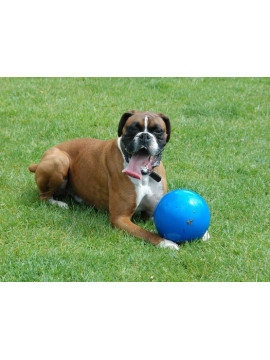 Boomer Ball S - 4" / 11cm niebieska
