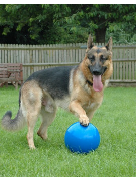 Boomer Ball S - 4" / 11cm niebieska