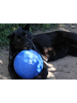 Boomer Ball S - 4" / 11cm niebieska