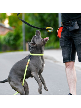 Dingo Zabawka dla psa - Szarpak Ringo z rączką bungee 10cm