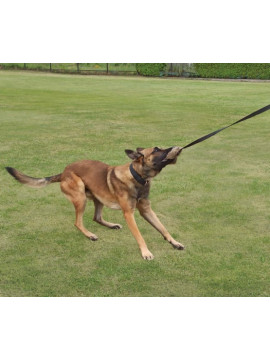 Dingo Zabawka dla psa - Sztuczne Futro z rączką bungee 150cn