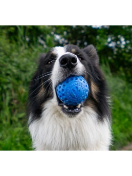 Kiwi Walker Let's Play Ball Maxi piłka pomarańczowa