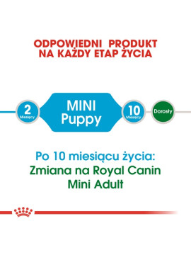 Royal Canin Mini Puppy karma sucha dla szczeniąt, od 2 do 10 miesiąca życia, ras małych 800g