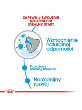 Royal Canin Mini Puppy karma sucha dla szczeniąt, od 2 do 10 miesiąca życia, ras małych 800g